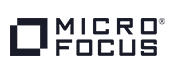 Micro Focus Micro Focus - Accelerate application delivery
