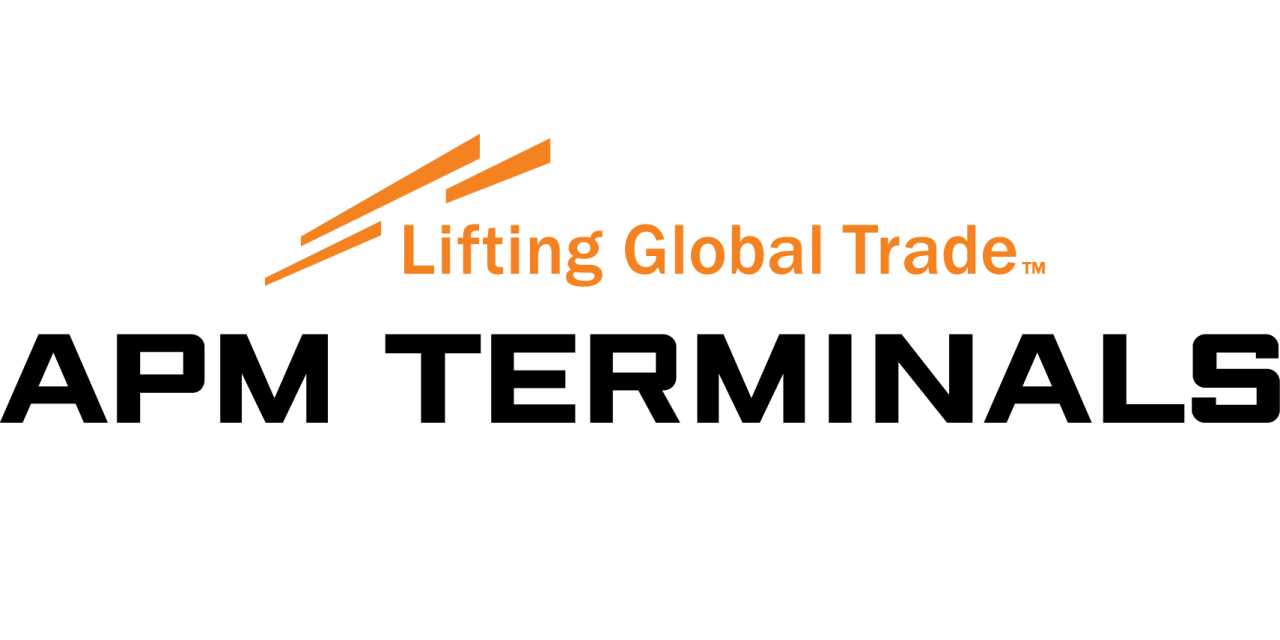 Servicio aduanero confirma fallas en sistemas informáticos