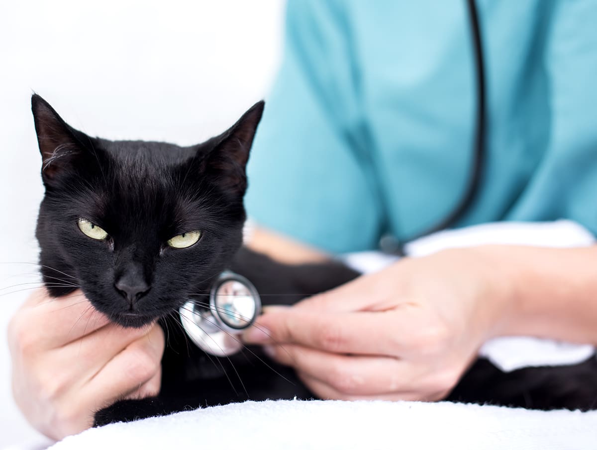 Grupo de Ransomware afirma robar 6 TB de datos de Change Healthcare