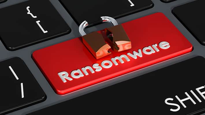 Operativo Internacional Derrumba la Red de Ransomware Dispossessor