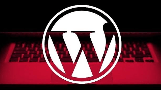 Plugin malicioso se oculta como herramienta legítima en WordPress